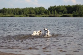 IMG 0524